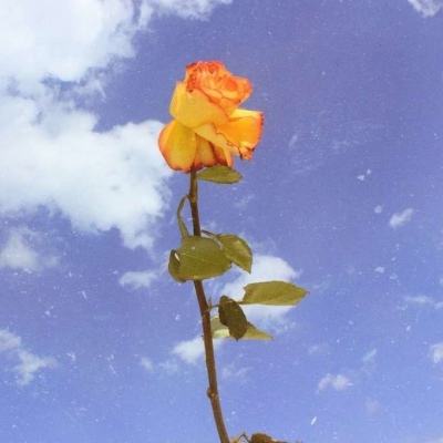 行星改造中文破解版下载