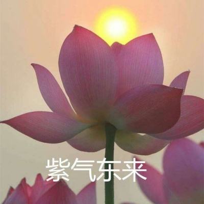 皇帝那些事儿手机版下载